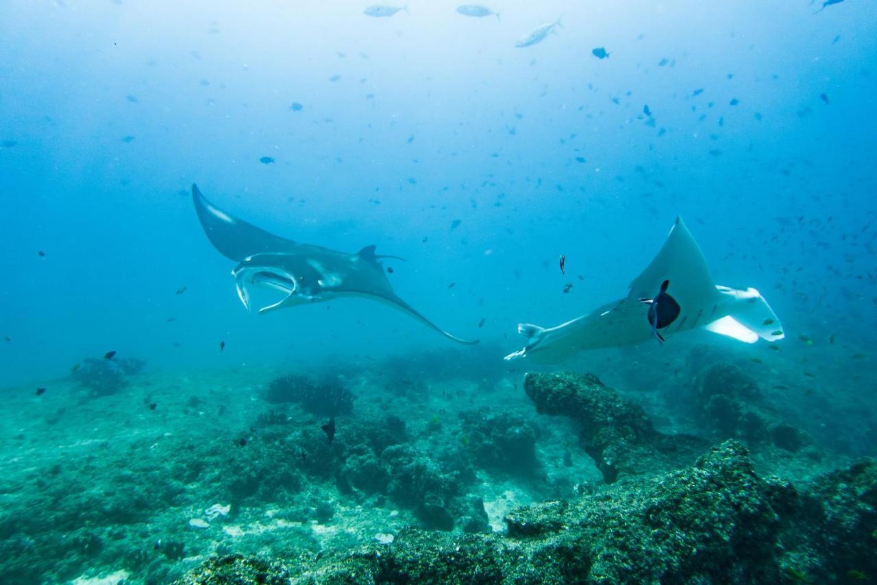 Kitesurf Tofo House Hostel ภายนอก รูปภาพ