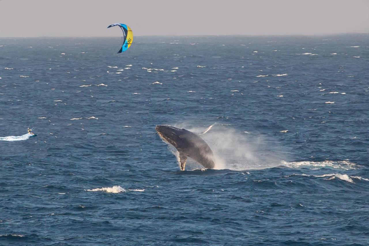 Kitesurf Tofo House Hostel ภายนอก รูปภาพ