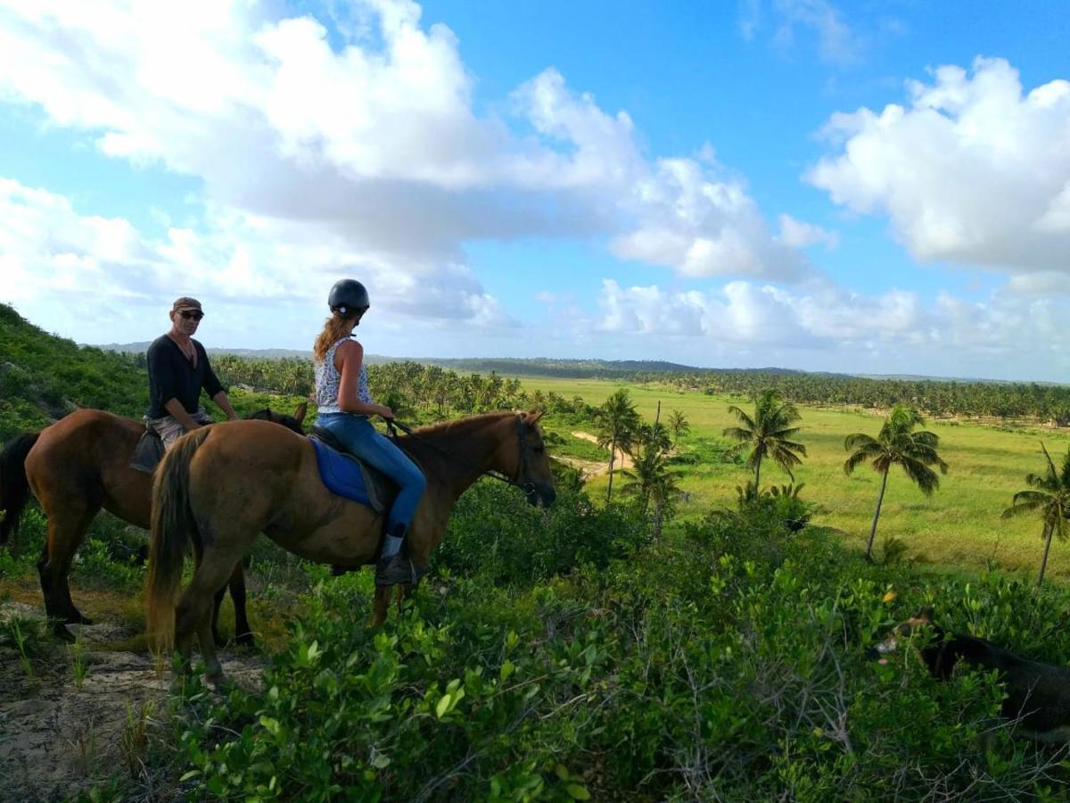 Kitesurf Tofo House Hostel ภายนอก รูปภาพ