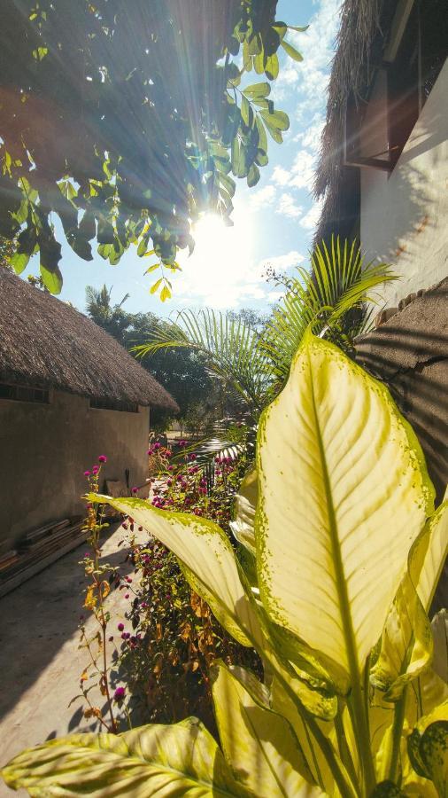 Kitesurf Tofo House Hostel ภายนอก รูปภาพ